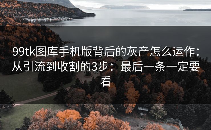 99tk图库手机版背后的灰产怎么运作：从引流到收割的3步：最后一条一定要看