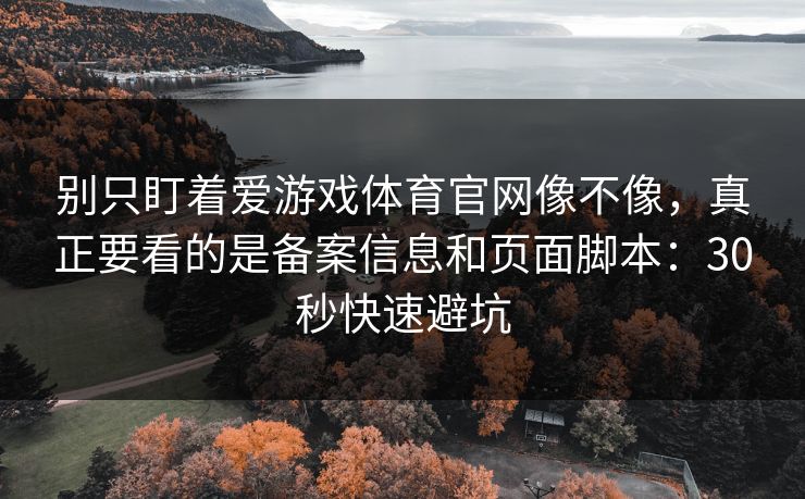 别只盯着爱游戏体育官网像不像，真正要看的是备案信息和页面脚本：30秒快速避坑