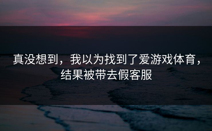 真没想到，我以为找到了爱游戏体育，结果被带去假客服