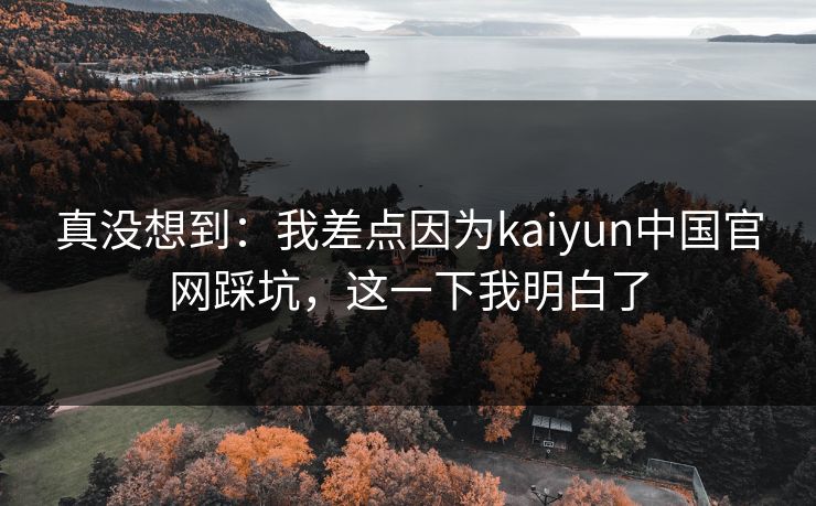 真没想到：我差点因为kaiyun中国官网踩坑，这一下我明白了