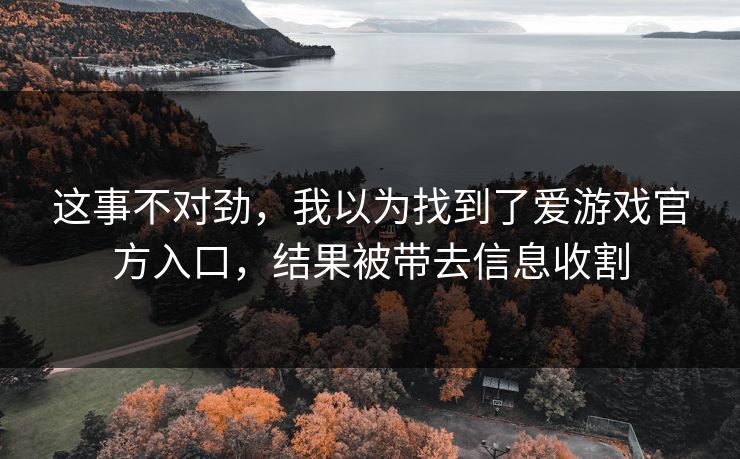 这事不对劲，我以为找到了爱游戏官方入口，结果被带去信息收割