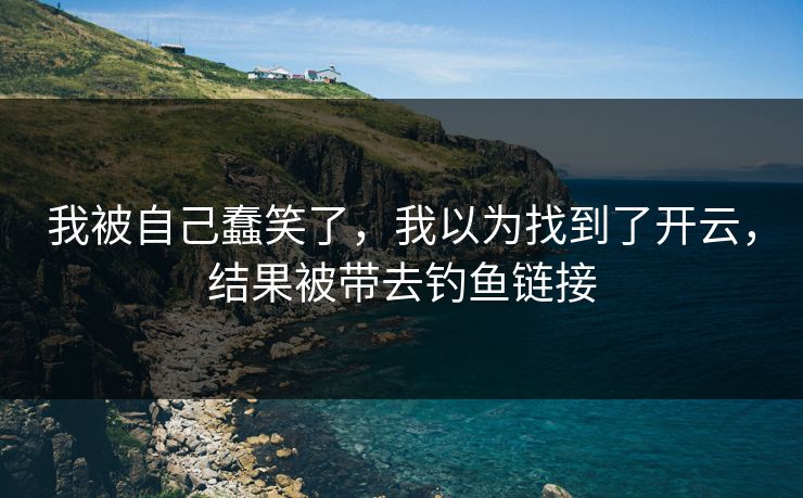 我被自己蠢笑了，我以为找到了开云，结果被带去钓鱼链接