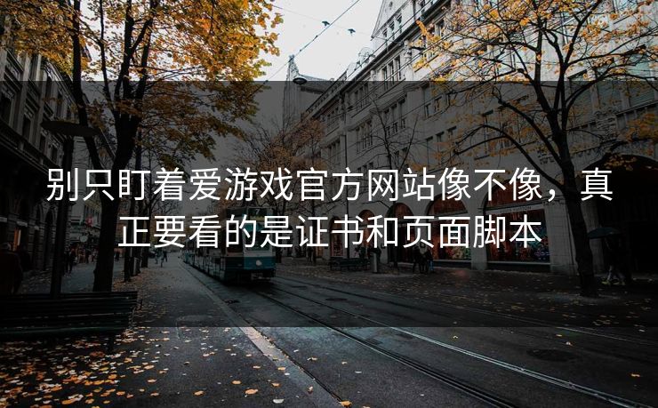 别只盯着爱游戏官方网站像不像，真正要看的是证书和页面脚本