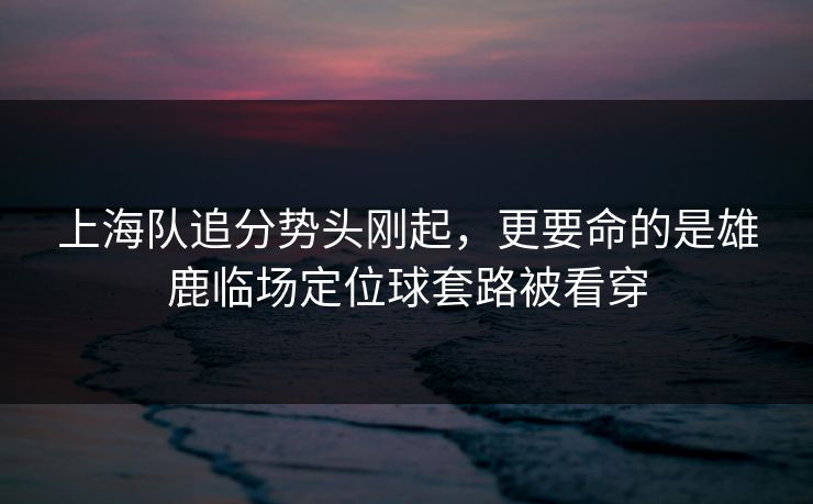 上海队追分势头刚起，更要命的是雄鹿临场定位球套路被看穿