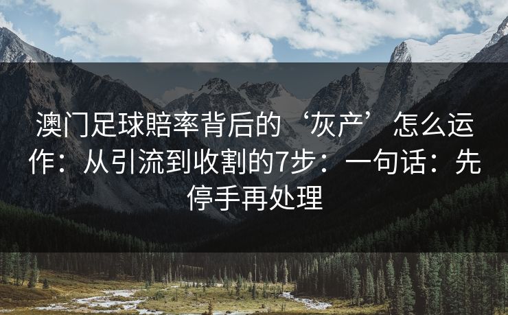 澳门足球賠率背后的‘灰产’怎么运作：从引流到收割的7步：一句话：先停手再处理